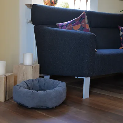 Graues Haustierbett aus Stoff, rund und gepolstert, auf Holzboden neben einem Sofa mit bunten Kissen.