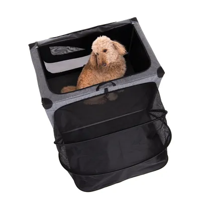 Transportbox aus grauem Stoff mit schwarzem Netz, geeignet für Haustiere. Hund sitzt im oberen Fach der Box.