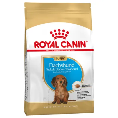 Sac Royal Canin Puppy Dachshund Teckel/Dackel/Dashond, jusqu’à 10 mois, croquette sur mesure, soutien du système immunitaire et des articulations, digestion saine.