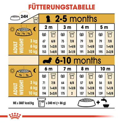 Fütterungstabelle für Hunde von 2-10 Monaten. Angaben nach Gewicht: 3kg, 6kg, 10kg. Masseinheit: g und Cups. ME=3887 kcal/kg, 1 Cup=240ml (≈86g). Tagesration in zwei Portionen.