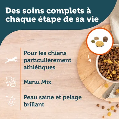 Des soins complets à chaque étape de sa vie. Pour les chiens particulièrement athlétiques. Menu Mix. Peau saine et pelage brillant. Croquettes variées dans une gamelle.