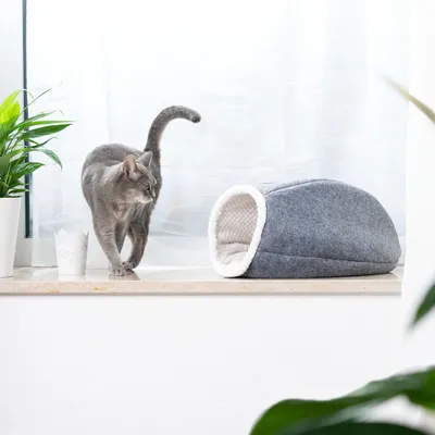 Grey felt cat cave with white lining, next to a grey cat on a windowsill.