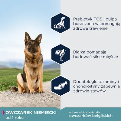 Owczarek niemiecki od 1 roku. Prebiotyk FOS i pulpa buraczana wspomagają trawienie, białka budują mięśnie, glukozamina i chondroityna zapewniają zdrowe stawy. Odpowiednie dla owczarków belgijskich.