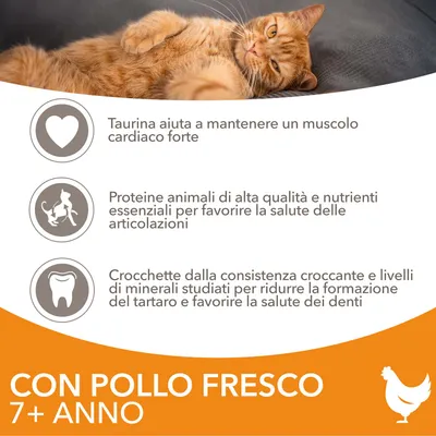 Taurina aiuta a mantenere un muscolo cardiaco forte. Proteine animali di alta qualità e nutrienti essenziali per articolazioni. Crocchette con minerali per salute dei denti. Con pollo fresco 7+ anno.