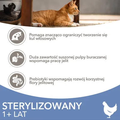 Sterylizowany 1+ lat. Pomaga ograniczyć kulki włosowe, suszona pulpa buraczana wspomaga pracę jelit, prebiotyki wspierają florę jelitową. Obraz kota leżącego na podłodze.