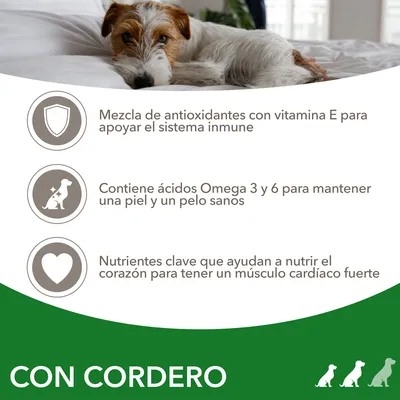 Mezcla de antioxidantes con vitamina E, ácidos Omega 3 y 6 para piel y pelo sanos, nutrientes clave para el corazón. Texto: CON CORDERO.