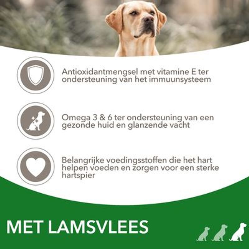 IAMS Advanced Nutrition Adult Large Dog met lam