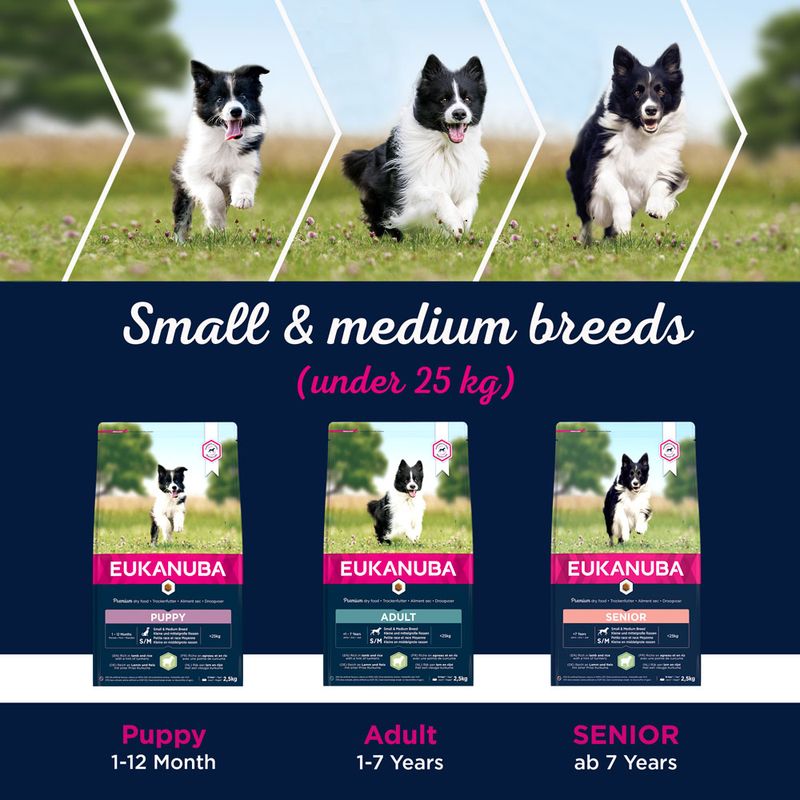 Eukanuba Adult Small & Medium Breed Lamb & Rice