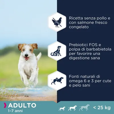 Ricetta senza pollo e con salmone fresco congelato, prebiotici FOS e polpa di barbabietola, fonti naturali di omega 6 e 3. Adulto 1–7 anni, meno di 25 kg.