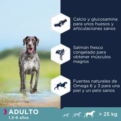 Calcio y glucosamina para huesos y articulaciones sanos, salmón fresco congelado para músculos magros, fuentes naturales de Omega 6 y 3 para piel y pelo sanos. Adulto 1,5–6 años, más de 25 kg.