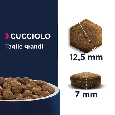 CUCCIOLO Taglie grandi. Crocchette per cuccioli di taglia grande, dimensioni visibili: 12,5 mm di diametro e 7 mm di altezza.