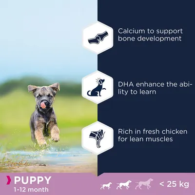 Text på engelska: Calcium to support bone development, DHA enhance the ability to learn, Rich in fresh chicken for lean muscles. Puppy 1–12 month, under 25 kg.