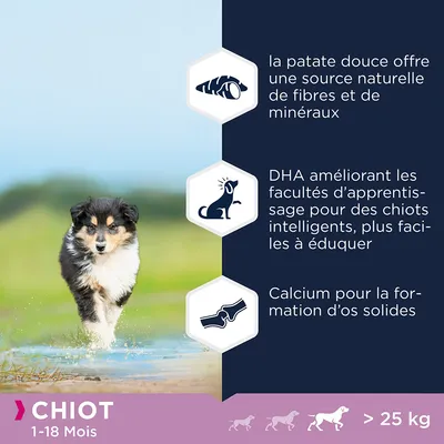 Chiot 1–18 mois, plus de 25 kg. Patate douce source naturelle de fibres et minéraux, DHA pour apprentissage, calcium pour os solides.