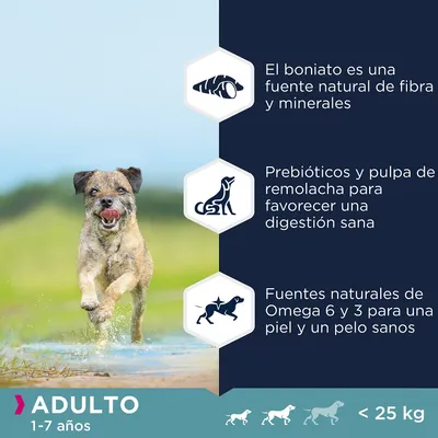 Adulto 1–7 años, menos de 25 kg. El boniato es una fuente natural de fibra y minerales. Prebióticos y pulpa de remolacha para digestión sana. Omega 6 y 3 para piel y pelo sanos.