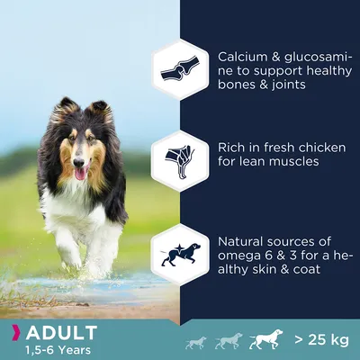 Text på engelska: Calcium & glucosamine to support healthy bones & joints, Rich in fresh chicken for lean muscles, Natural sources of omega 6 & 3 for a healthy skin & coat. ADULT 1,5–6 Years >25 kg.