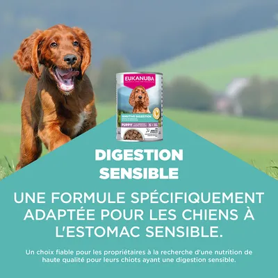 Eukanuba Special Care Puppy Digestion Sensible Eukanuba Special Care Puppy Digestion Sensible