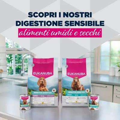 Eukanuba Special Care Adult Sensitive Digestion Eukanuba Special Care Adult Sensitive Digestion