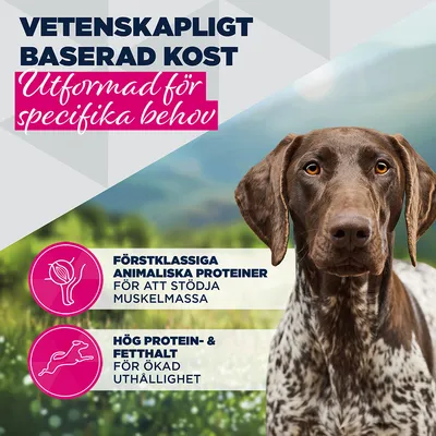 Eukanuba Special Care Adult Working & Endurance