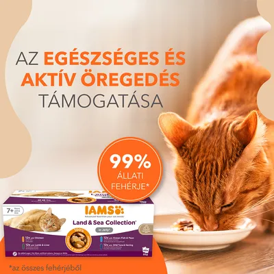 IAMS Land & Sea Collection macskaeledel csomagolás, 99% állati fehérje, az egészséges és aktív öregedés támogatása, 7+ éves macskáknak. Narancssárga cica tálból eszik.