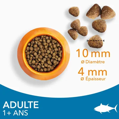Croquettes pour chat adulte 1+ ans, diamètre 10 mm, épaisseur 4 mm, présentées dans une gamelle orange et en gros plan. Illustration d’un poisson en bas à droite.