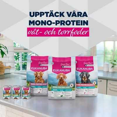 Eukanuba Special Care Adult Mono-Protein med kyckling