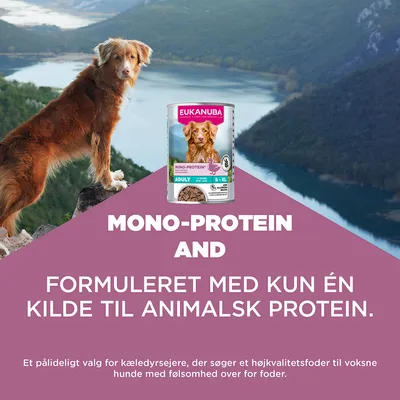 Eukanuba Mono-Protein, formuleret med kun én kilde til animalsk protein. Til voksne hunde med foderintolerance. Eukanuba Mono-Protein, formuleret med kun én kilde til animalsk protein. Til voksne hunde med foderintolerance.