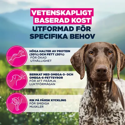 Eukanuba Special Care Working & Endurance Adult