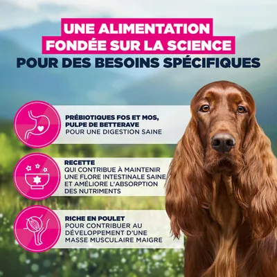 Eukanuba Special Care Digestion Sensible Adult
