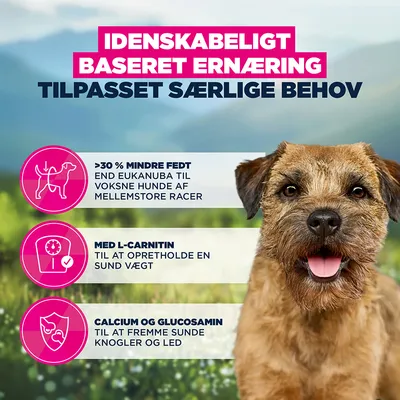 Tekstbillede med oplysninger: over 30% mindre fedt, med L-carnitin til vægtvedligeholdelse, calcium og glucosamin for knogler og led. Videnskabeligt baseret ernæring. Tekstbillede med oplysninger: over 30% mindre fedt, med L-carnitin til vægtvedligeholdelse, calcium og glucosamin for knogler og led. Videnskabeligt baseret ernæring.