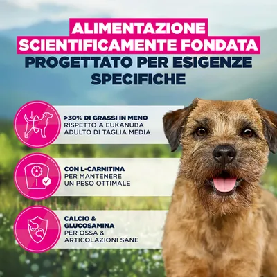 Eukanuba Special Care Weight Control Adult Small/Medium