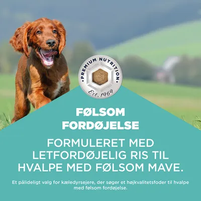EUKANUBA Special Care tørfoder til hvalpe med sensitiv fordøjelse – kylling & kalkun