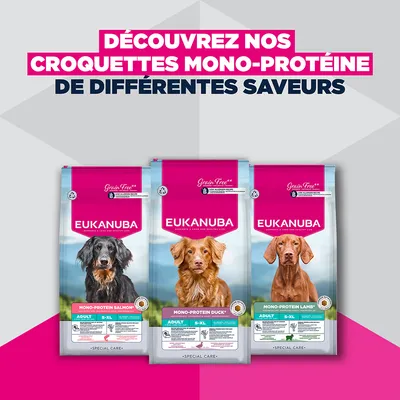 Eukanuba Special Care Mono-Protein Adulte Saumon