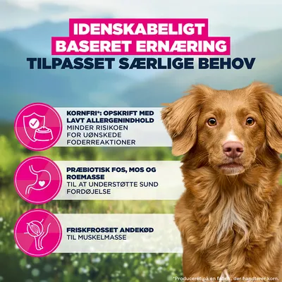 Kornfri opskrift med lavt allergenindhold, præbiotisk FOS, MOS og roesnitter til støtte af fordøjelsen, dybfrossent andekød for muskelmasse. Kornfri opskrift med lavt allergenindhold, præbiotisk FOS, MOS og roesnitter til støtte af fordøjelsen, dybfrossent andekød for muskelmasse.