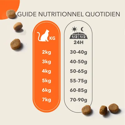Guide nutritionnel quotidien pour chat : 2 kg 30–40 g, 3 kg 40–50 g, 4 kg 50–65 g, 5 kg 55–75 g, 6 kg 60–85 g, 7 kg 70–90 g en 24 h, à répartir matin et soir.