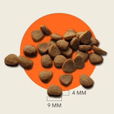 IAMS Advanced Nutrition Senior Cat 11+ med kylling