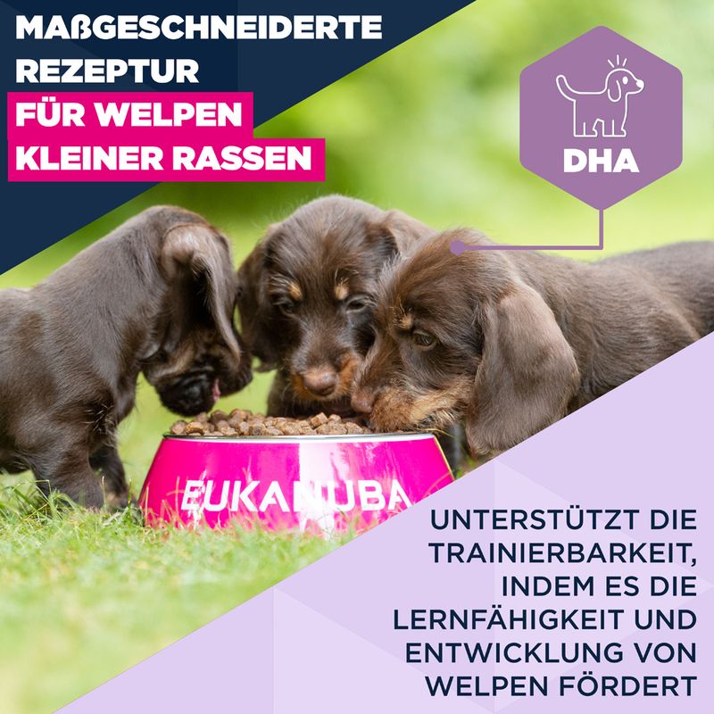 Eukanuba Premium Nutrition Puppy Small Breed Huhn