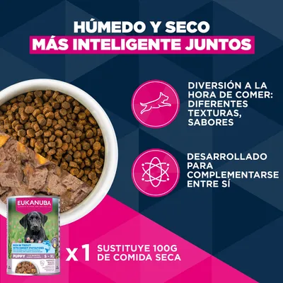 Eukanuba Premium Nutrition Puppy Small Breed pollo