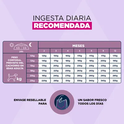 Eukanuba Premium Nutrition Puppy Medium Breed pollo