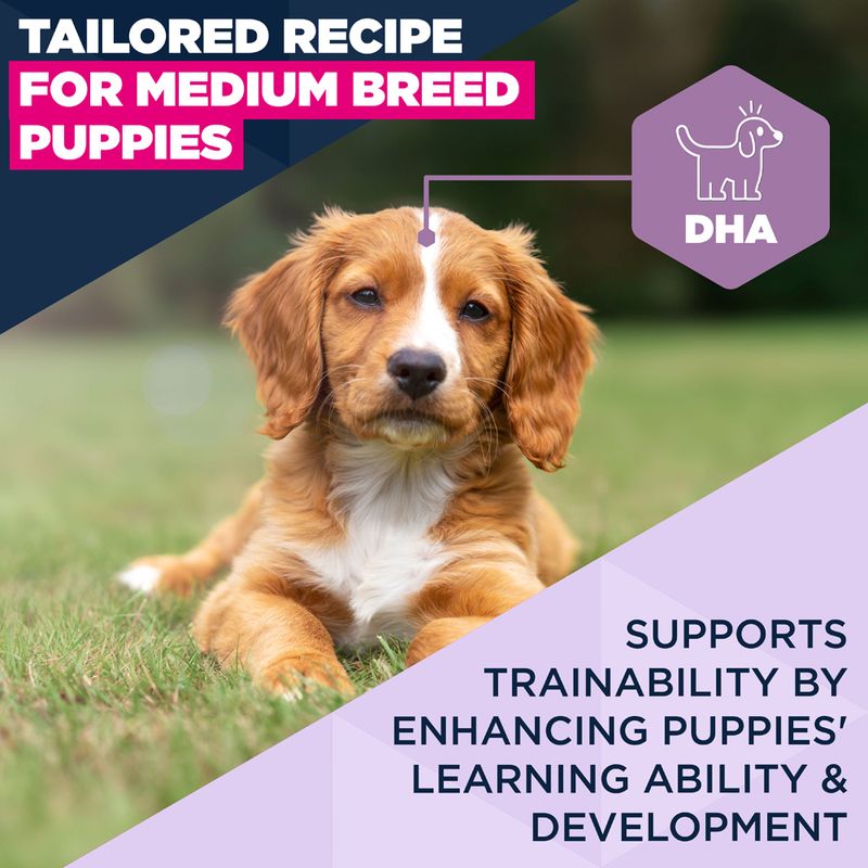 Eukanuba Premium Nutrition Puppy Medium Breed kuracie