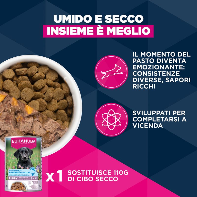 Eukanuba Premium Nutrition Puppy Large & Giant Breed Agnello & Riso