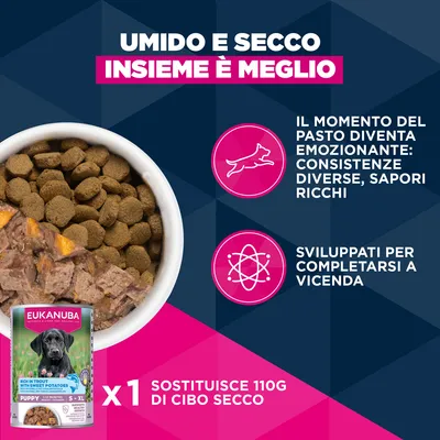 Eukanuba Premium Nutrition Puppy Large & Giant Breed Agnello & Riso
