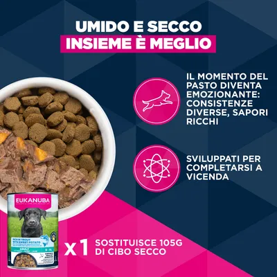 Eukanuba Premium Nutrition Adult Large & Giant Breed Pollo