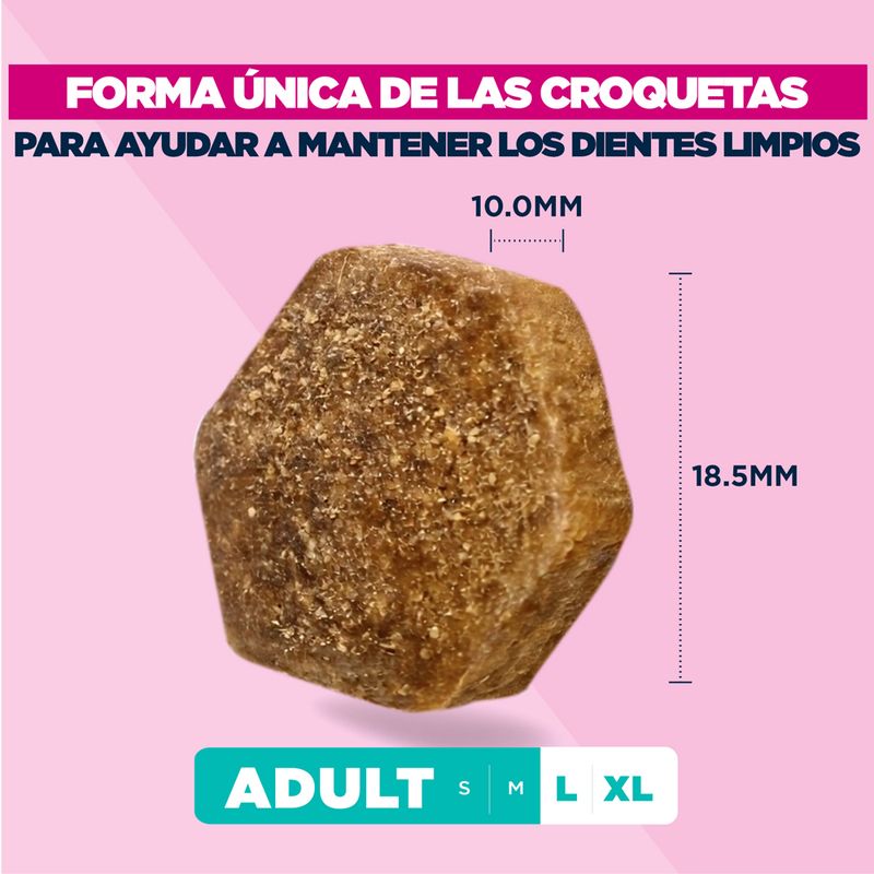 Eukanuba Premium Nutrition Adult Large & Giant Breed pollo