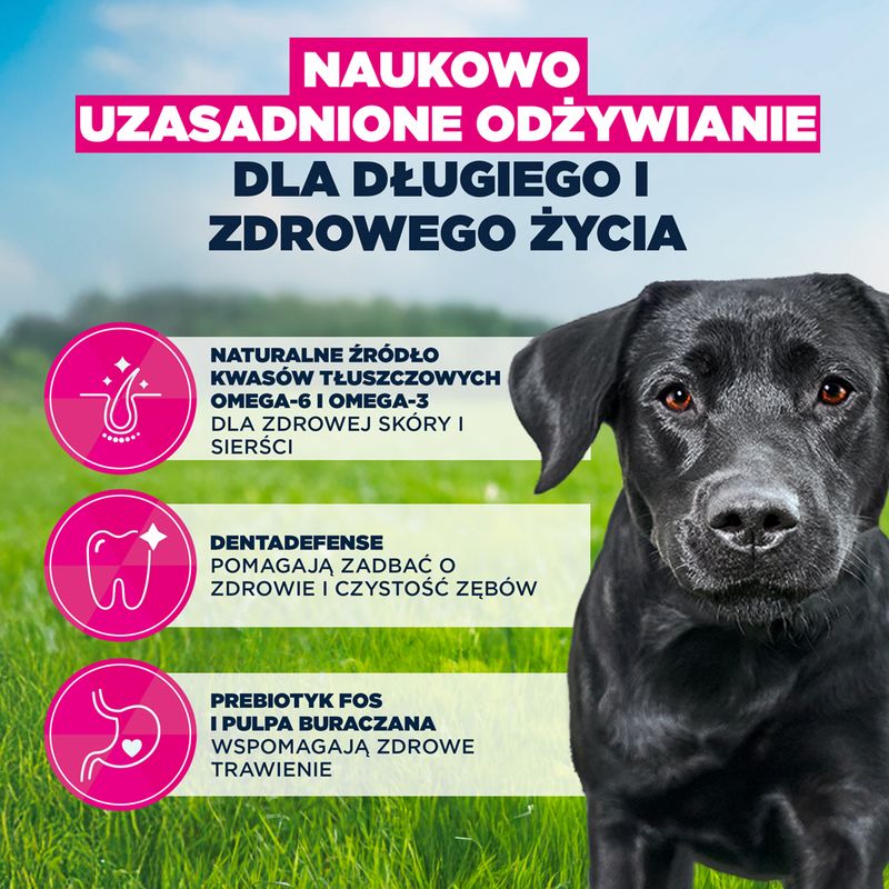 Eukanuba Premium Nutrition Adult Large & Giant Breed, kurczak