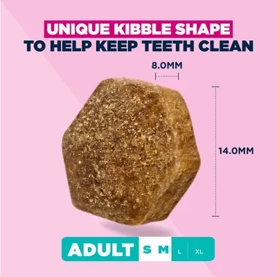 Eukanuba Premium Nutrition Adult Small & Medium Breed Αρνί & Ρύζι