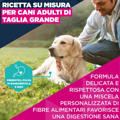 Eukanuba Premium Nutrition Adult Large & Giant Breed Agnello & Riso
