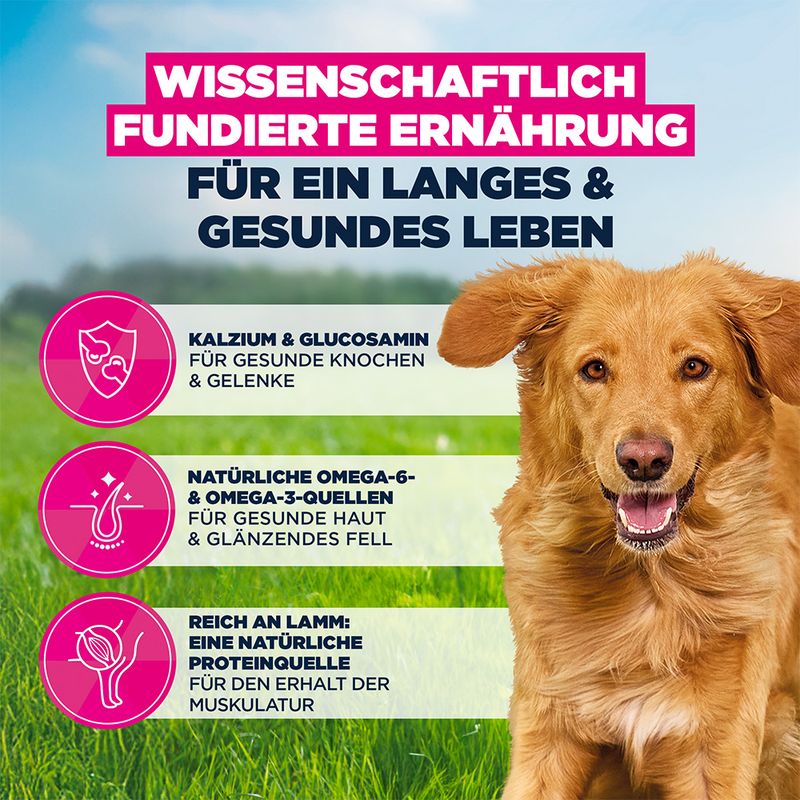 Eukanuba Premium Nutrition Adult Large & Giant Breed Lamm & Reis