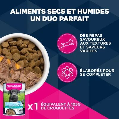 Eukanuba Premium Nutrition Adult Large et Giant Breed Saumon