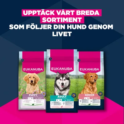 Eukanuba Premium Nutrition Adult Large & Giant Breed Salmon