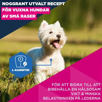 Eukanuba Premium Nutrition Mature Small Breed Chicken